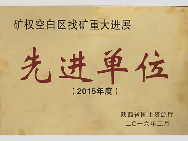 2016年矿权空白区找矿重大进展先进单位