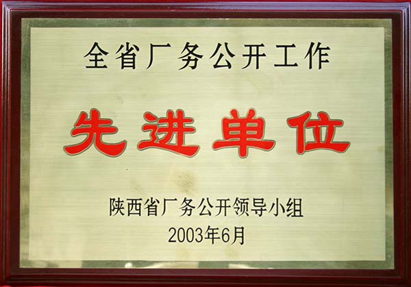 2003年全省厂务公开先进单位2003年